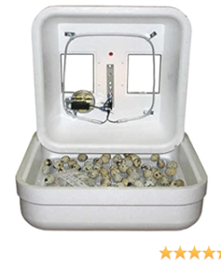 Buy G-Q-F-Manufacturing-1602N-Hova-Bator-Incubator