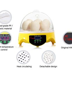 Buy HHD Automatic Digital 7 Mini Egg Incubator