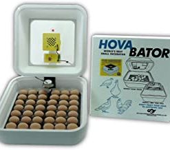 Buy Hova Bator-Advanced-Incubator-Combo-Kit