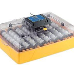 Buy Brinsea-Products-USAG47C-automatic-incubator