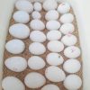 Buy Hyacinth Macaw Parrot Eggs
