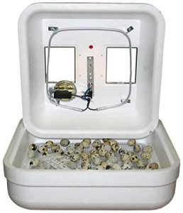 Buy G-Q-F-Manufacturing-1602N-Hova-Bator-Incubator