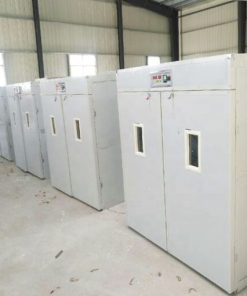 Buy HB Poultry Eggs Incubator