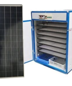 Buy HB Poultry Eggs Incubator