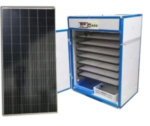 Buy HB Poultry Eggs Incubator