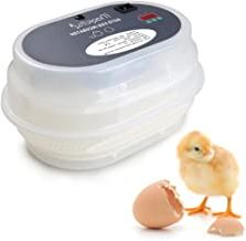 Buy Magicfly-Digital-Automatic-Incubator-Chickens