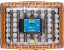 Buy Brinsea-Products-USAG47C-automatic-incubator