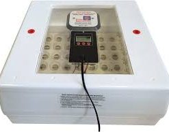 Buy Farm-Innovators-4250-Circulated-Incubator