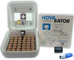 Buy HovaBator-Deluxe-Egg-Incubator-Combo
