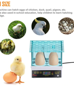 Buy ESSENS Incubator Machine