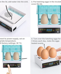 Buy ESSENS Incubator Machine